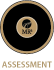 Mr3 Consulting, LLC - Assessment